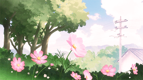 A calming animation of pink flowers swaying in the foreground, with trees and telephone wires stretching into the background.